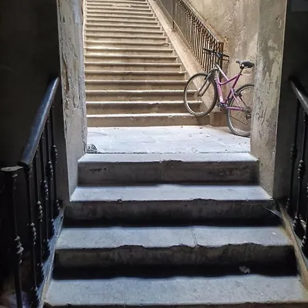Apartamento Un Apartamento En Alquiler